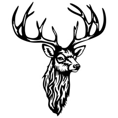 Cabe&ccedil;a de veado