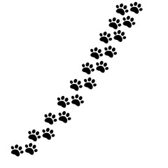 Simple Paw print, animal footprint, pat icon. Stock Vector illustration isolated on white background.