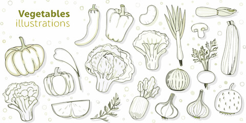 A collection of hand drawn vegetable illustrations in a light monochrome style
