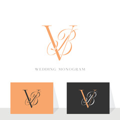 Elegant BV  VB Wedding Monogram Logo for Invitations and Branding