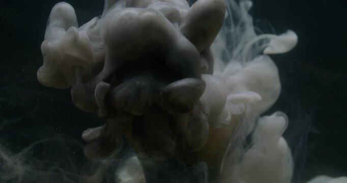 Swirling fog fluid. Paint background. Defocused silver white color broken light bulb water glitter fume spreading on dark black abstraction.