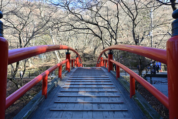 伊香保温泉「河鹿橋」、冬