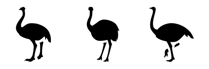 Ostrich Silhouette Vector Collection