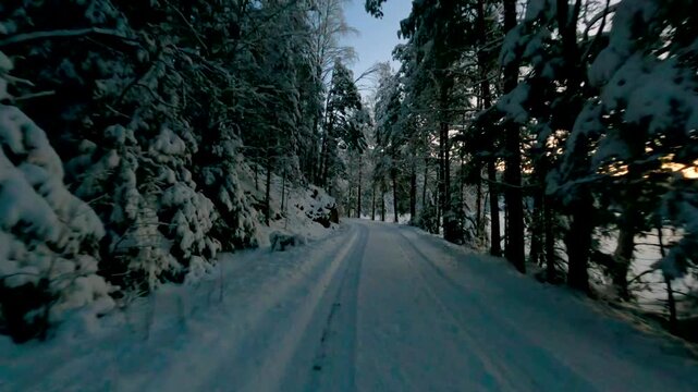 Snow-covered forest road leads to a frozen lake at sunset, with tracks in the snow and warm light on the horizon in a peaceful winter landscape.
