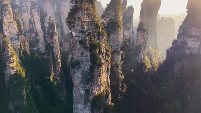 Warm golden sunrise light bathing towering green-covered rock pillars, Zhangjiajie National Forest Park, epic drone aerial, China