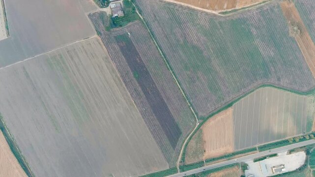 Ginosa, Italy. Harvesting a field with a combine harvester in the light of the evening sun. Drone footage, HEAD OVER SHOT