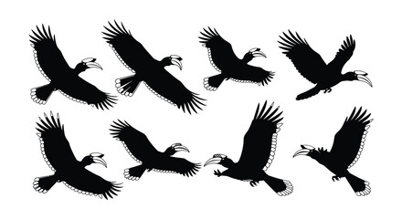 Silhouettes of hornbills in flight showcasing their unique wing shapes and beaks