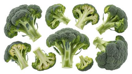 Collection of fresh broccoli florets and stalks isolated on transparent background