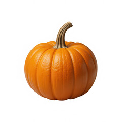 Obraz premium pumpkin isolated on white background