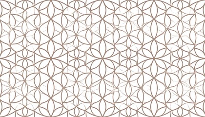 Intricate geometric pattern with overlapping curved lines
