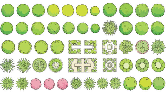Illustration of top view tree and shrub symbols for landscape architecture plans