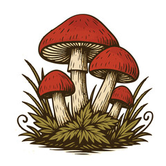 Vintage Hand-Drawn Red Mushroom Cluster Illustration with Grass and Leaves &ndash; Engraved Botanical Forest Vector