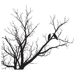 Two crows perched on bare branches of a tree in silhouette