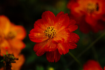 The surfaces and shapes in nature are beautiful.