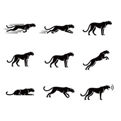 Panther Big Cat Actions Icons Collection Running Jumping and Resting