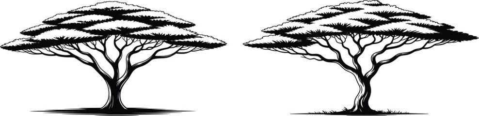 Obraz premium Acacia Tree Silhouette Vector, African Savannah Landscape Illustration.