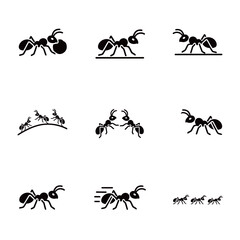 Ant Insect Icons Set: Monochromatic Glyphs Illustrating Various Poses, Movement, and Social Behavior