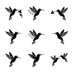 Hummingbird Small Bird Icons Set: Monochromatic Glyphs Depicting Flying, Nectar Feeding, and Interaction