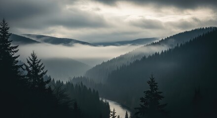 A view of a misty valley with evergreen trees and a winding river below
