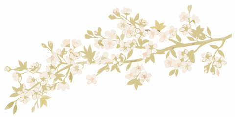 Delicate branch with blossoming pink and white flowers spring aesthetic