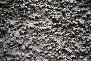 Rough Grey Stucco Wall Texture Close-up