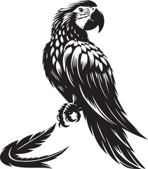 eagle vector illustration
