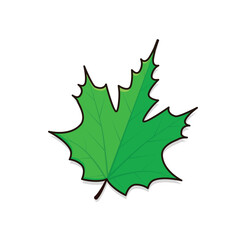 Fototapeta premium Green leaves. green leaf cartoon vector illustration background pattern