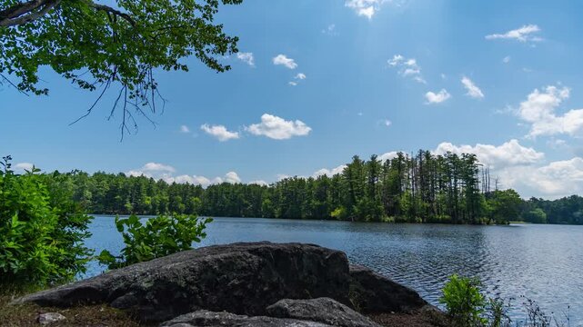 Harold Parker State Forest stunning timelapse in a sunny colorful day, with pine trees and vegetation around a lake in Andover, Massachusetts. Unbelievable landscape