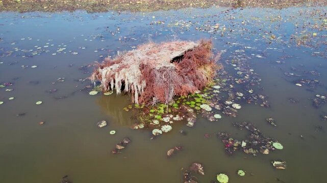 Aerial footage of unusual structure in Lake Caddo in Texas