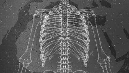 Detailed Human Skeleton X-Ray on Dark Background with Digital Elements