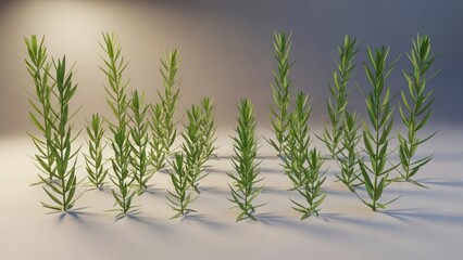Obraz premium Green plants on white surface botanical illustration with soft lighting and shadow