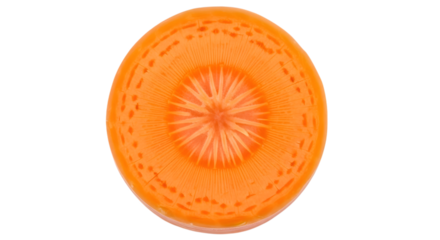 Sliced carrot top view showing inner texture and rings isolated on transparent background