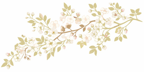 Delicate flowering branch with blossoming white and pink flowers on a twig