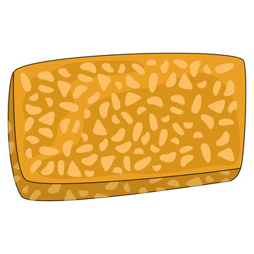 illustration of tempeh 