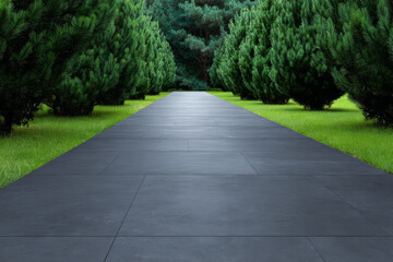 Pathway through a serene forest surrounded by tall green pine trees