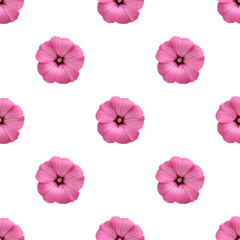 seamless pattern. pink lavatera, isolated on white