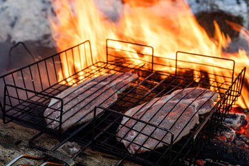 Grilling steaks over a campfire in the forest.