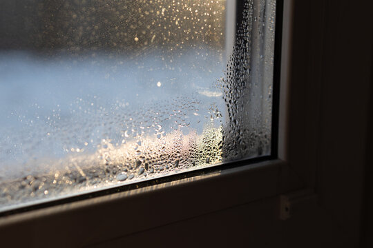 Condensation forms on a window, showing the need for proper ventilation and humidity management in a home. This highlights the importance of preventing mold and fungi in indoor spaces.