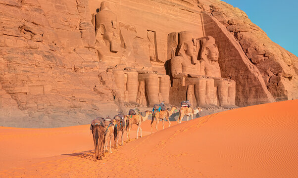 A Group of tourist riding a camel - Abu Simbel Temple - Egypt, Africa