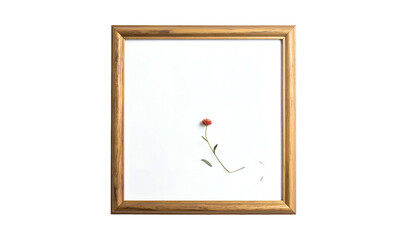 A single, tiny red rose on a stem is in a wooden frame. White background