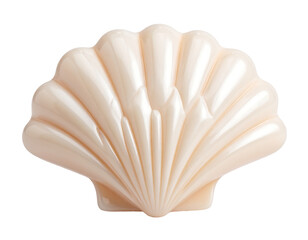 Elegant Shell Shaped Soap on White Background