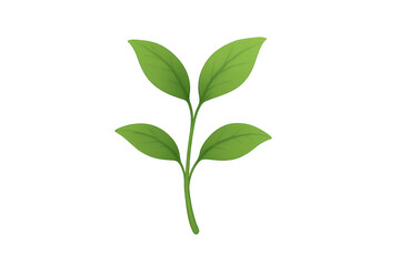 Fototapeta premium Green plant sapling with fresh leaves on transparent background