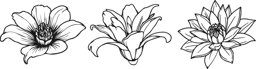 Flowers Set in Line Art Sketch Style. Minimalist Floral Templates. Outline Flower Design. Botanical Line Art Template for Print, Social Media, Fabric Design. Vector Illustration