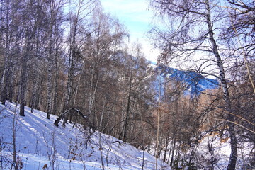 Mountainous area with different vegetation. Ile-Alatau National Nature Park.