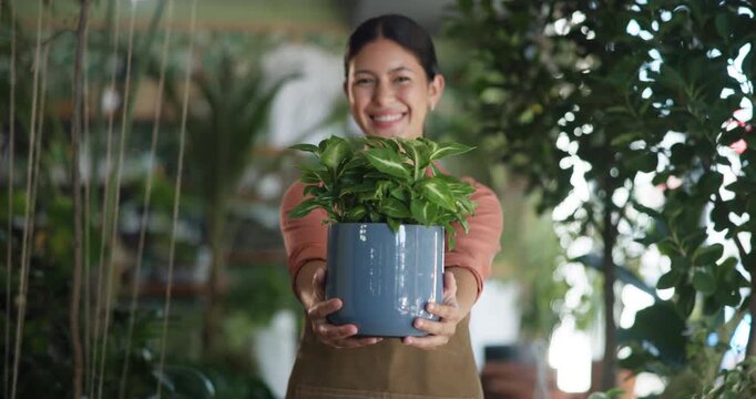 Woman, face and botanist with pot plant, smile or giving product at store for sustainability at startup. Person, florist and entrepreneur in portrait, happy and pride at eco friendly shop in Colombia