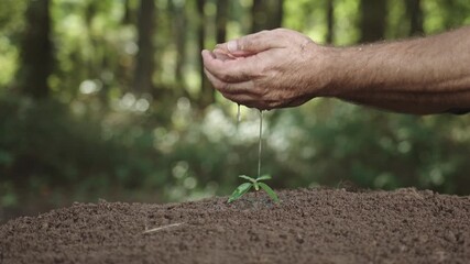 Gardening scene with fertile earth. Human hands touching rich soil. Environmental care with soil closeup. Hands working with cultivated land. Organic soil in male hands.