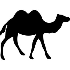 Camel Silhouette Islamic Illustration