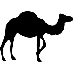 Camel Silhouette Islamic Illustration