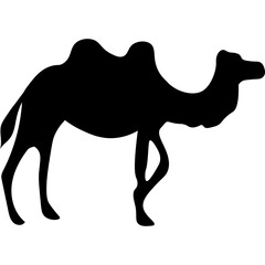 Camel Silhouette Islamic Illustration