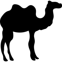 Camel Silhouette Islamic Illustration